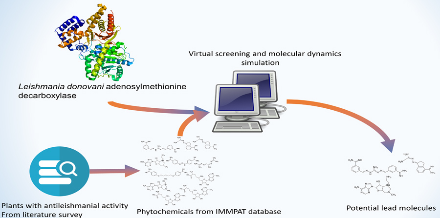 Graphical Abstract